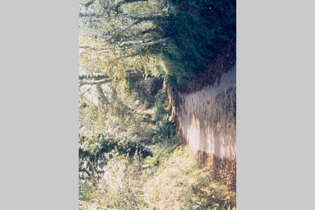 Lanivet Okewoon Farmヴィラ エクステリア 写真